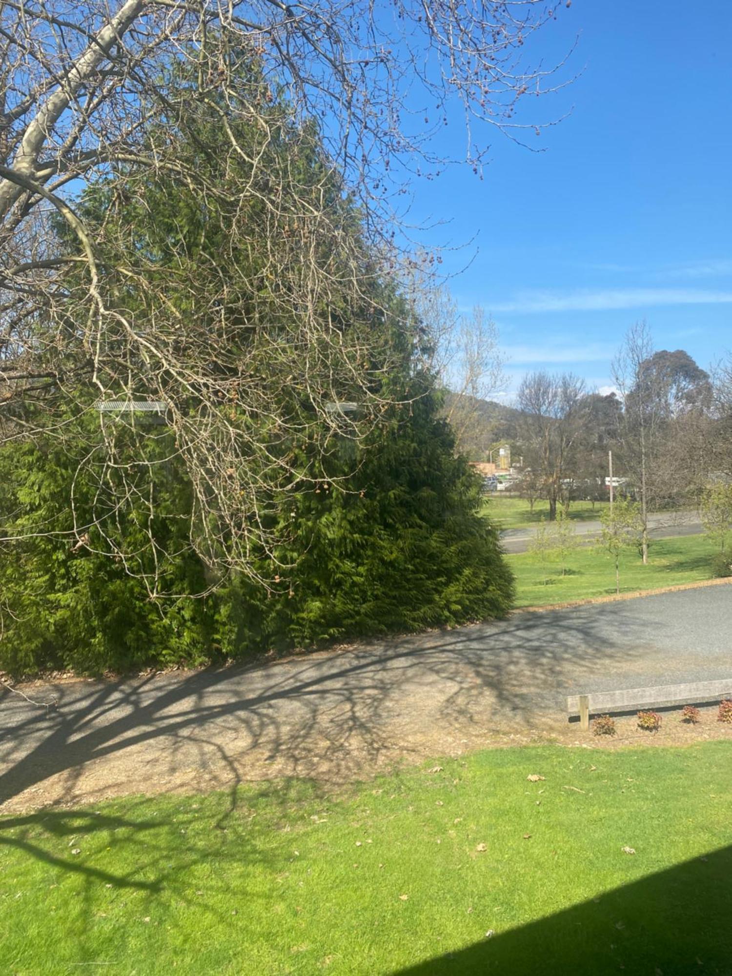 Tumbarumba Motel & Elms Restaurant Exterior foto